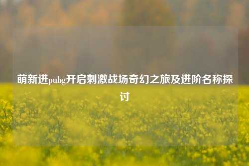 萌新进pubg开启刺激战场奇幻之旅及进阶名称探讨