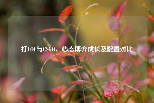 打LOL与CSGO，心态博弈成长及配置对比