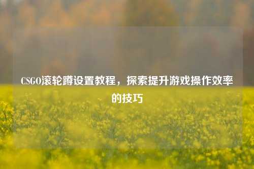 CSGO滚轮蹲设置教程，探索提升游戏操作效率的技巧