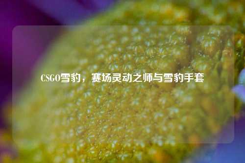 CSGO雪豹，赛场灵动之师与雪豹手套