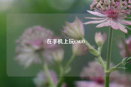 在手机上玩CSGO