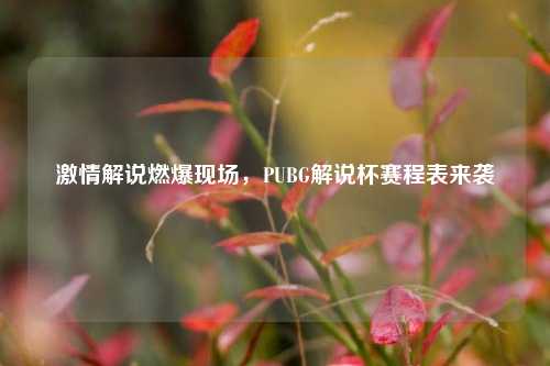 激情解说燃爆现场，PUBG解说杯赛程表来袭