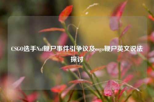 CSGO选手Naf鞭尸事件引争议及csgo鞭尸英文说法探讨