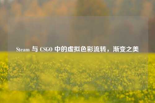 Steam 与 CSGO 中的虚拟色彩流转，渐变之美
