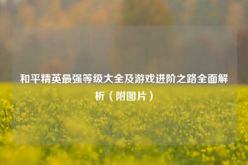 和平精英最强等级大全及游戏进阶之路全面解析（附图片）