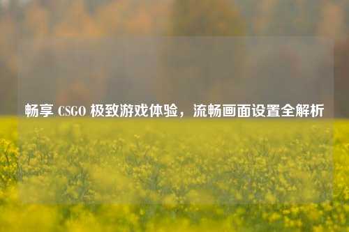 畅享 CSGO 极致游戏体验，流畅画面设置全解析