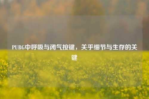 PUBG中呼吸与闭气按键，关乎细节与生存的关键
