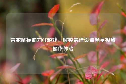雷蛇鼠标助力CF游戏，解锁最佳设置畅享极致操作体验