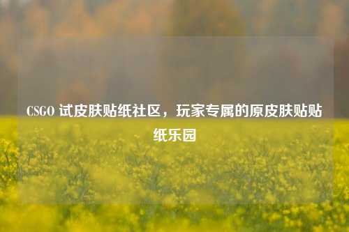 CSGO 试皮肤贴纸社区，玩家专属的原皮肤贴贴纸乐园