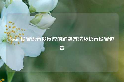 Steam设置语音没反应的解决方法及语音设置位置