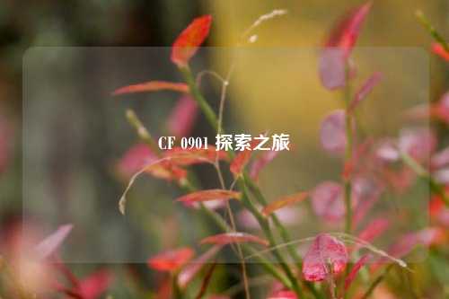 CF 0901 探索之旅