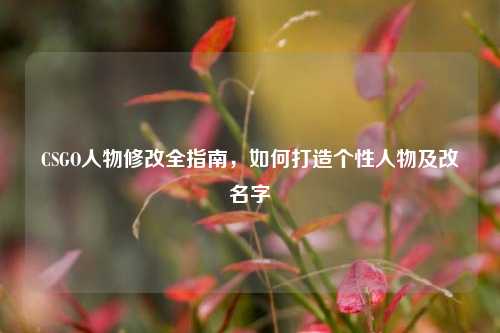 CSGO人物修改全指南，如何打造个性人物及改名字