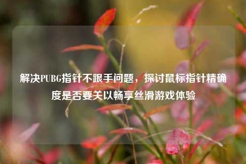 解决PUBG指针不跟手问题，探讨鼠标指针精确度是否要关以畅享丝滑游戏体验