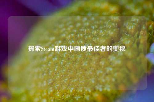 探索Steam游戏中画质最佳者的奥秘