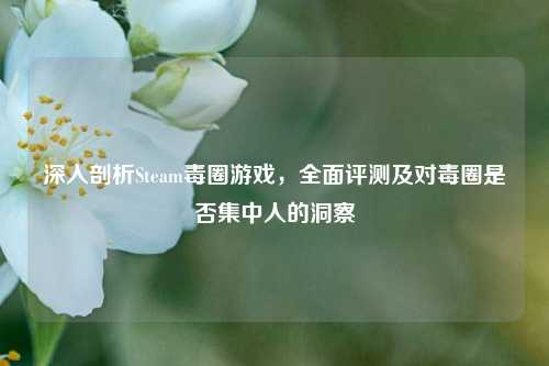 深入剖析Steam毒圈游戏，全面评测及对毒圈是否集中人的洞察