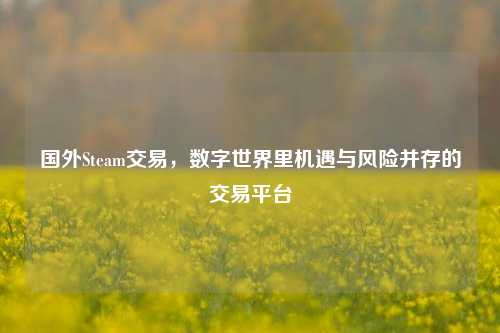 国外Steam交易，数字世界里机遇与风险并存的交易平台