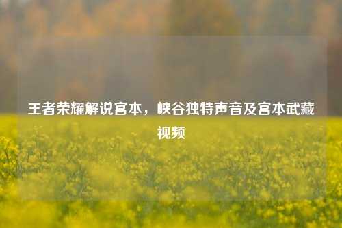王者荣耀解说宫本，峡谷独特声音及宫本武藏视频