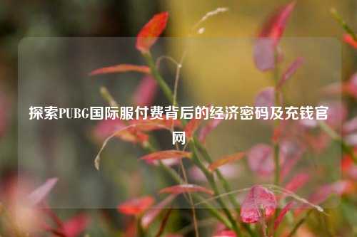 探索PUBG国际服付费背后的经济密码及充钱官网