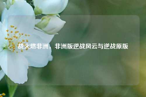 战火燃非洲，非洲版逆战风云与逆战原版