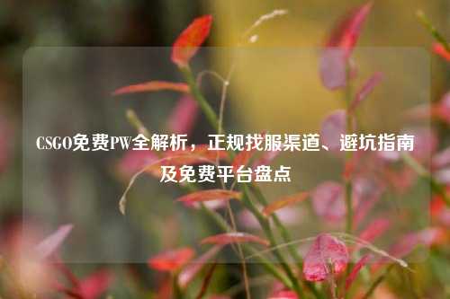 CSGO免费PW全解析，正规找服渠道、避坑指南及免费平台盘点