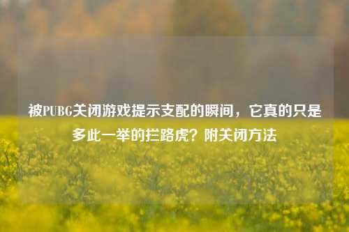 被PUBG关闭游戏提示支配的瞬间，它真的只是多此一举的拦路虎？附关闭方法