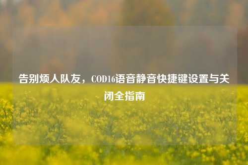 告别烦人队友,COD16语音静音快捷键设置与关闭全指南