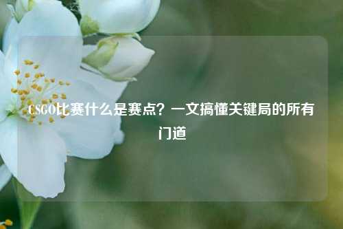 CSGO比赛什么是赛点？一文搞懂关键局的所有门道