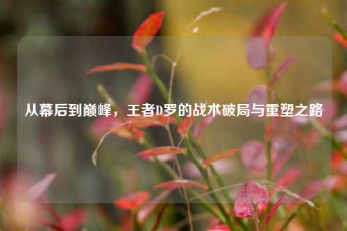 从幕后到巅峰,王者D罗的战术破局与重塑之路