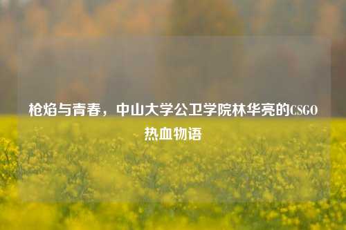 枪焰与青春,中山大学公卫学院林华亮的CSGO热血物语