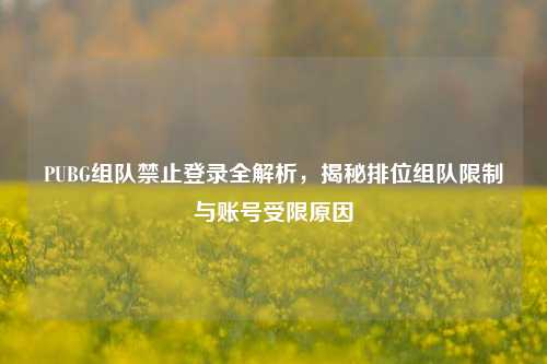 PUBG组队禁止登录全解析,揭秘排位组队限制与账号受限原因