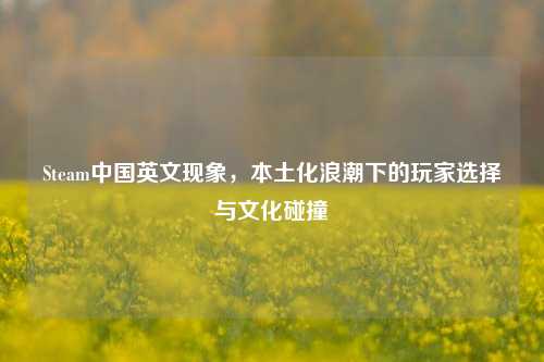 Steam中国英文现象,本土化浪潮下的玩家选择与文化碰撞