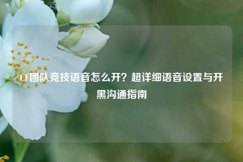 CF团队竞技语音怎么开？超详细语音设置与开黑沟通指南