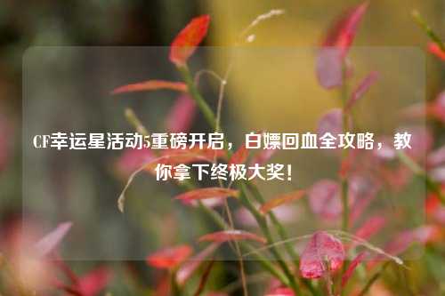 CF幸运星活动5重磅开启，白嫖回血全攻略，教你拿下终极大奖！