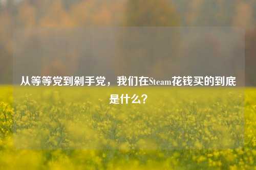 从等等党到剁手党，我们在Steam花钱买的到底是什么？