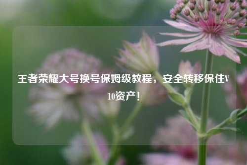 王者荣耀大号换号保姆级教程，安全转移保住V10资产！