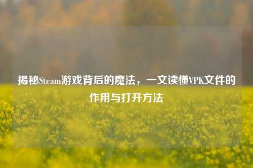 揭秘Steam游戏背后的魔法，一文读懂VPK文件的作用与打开方法