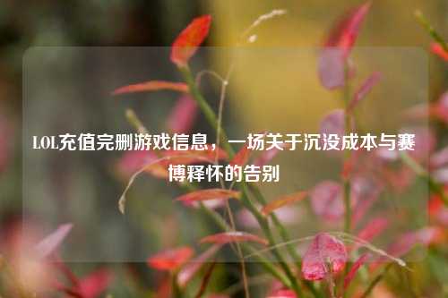 LOL充值完删游戏信息，一场关于沉没成本与赛博释怀的告别