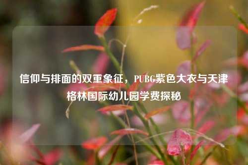 信仰与排面的双重象征,PUBG紫色大衣与天津格林国际幼儿园学费探秘