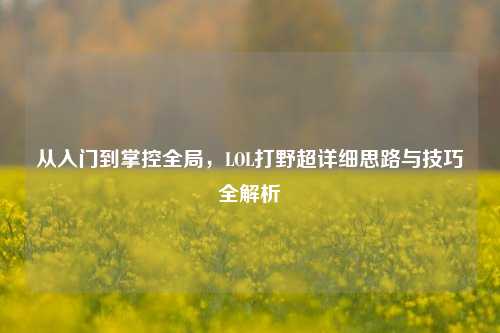 从入门到掌控全局,LOL打野超详细思路与技巧全解析